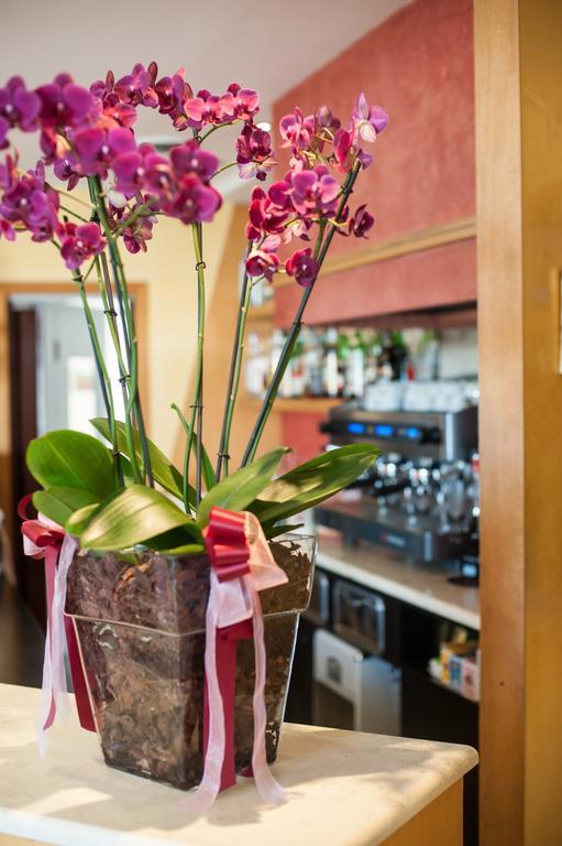 Anghiari Hotel Екстер'єр фото